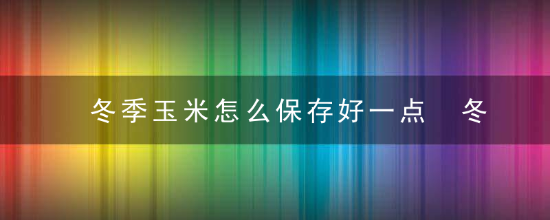 冬季玉米怎么保存好一点 冬季玉米如何保存更好